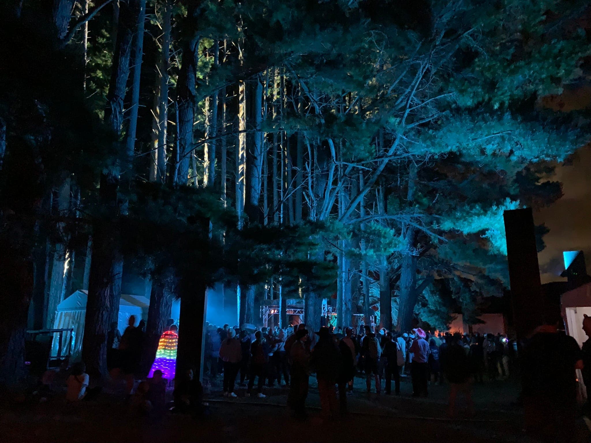 Forrest stage at night, taken from Square stage